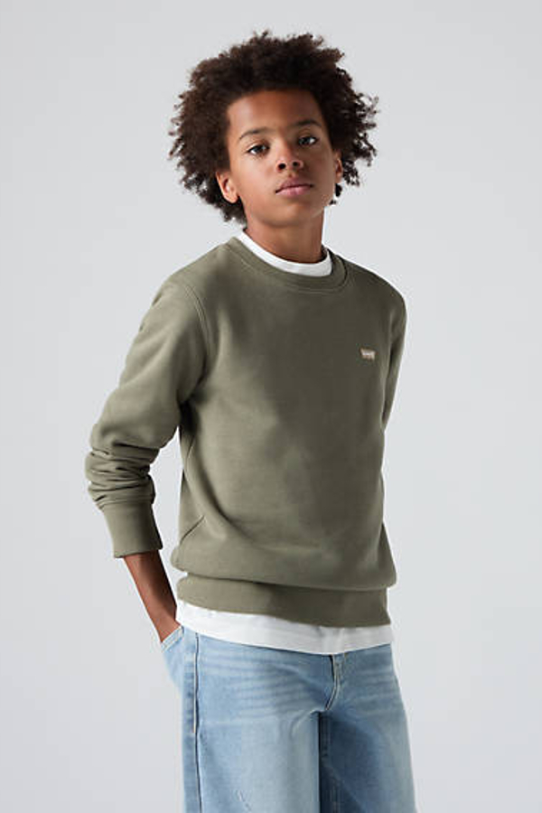 Sudadera de cuello redondo Mini Logo para adolescentes - Chicos - 12A - Verde / Deep Lichen Green