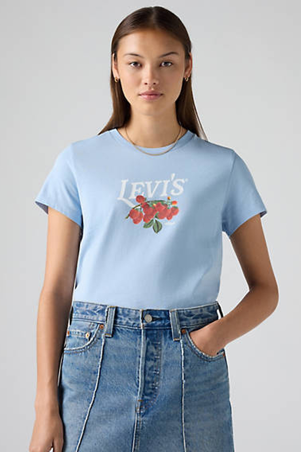 Camiseta Perfect - Mujer - M - Azul / Ed Fruit Chest Chambray Blue