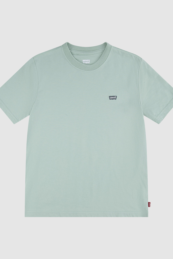 Teenager Batwing Chest Hit Tee - Chicos - 14A - Verde / Cameo Green