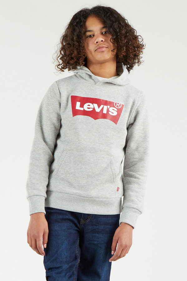 Sudadera con capucha serigrafiada para adolescentes Batwing - Chicos - 12A - Gris / Grey Heather