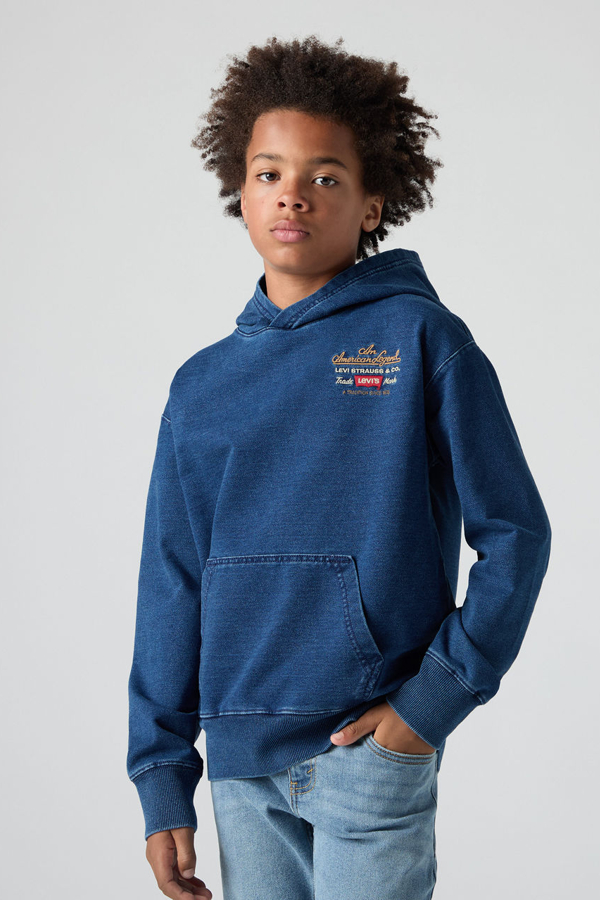 Sudadera con capucha Legendary para adolescentes - Chicos - 12A - Neutral / Iron Horse