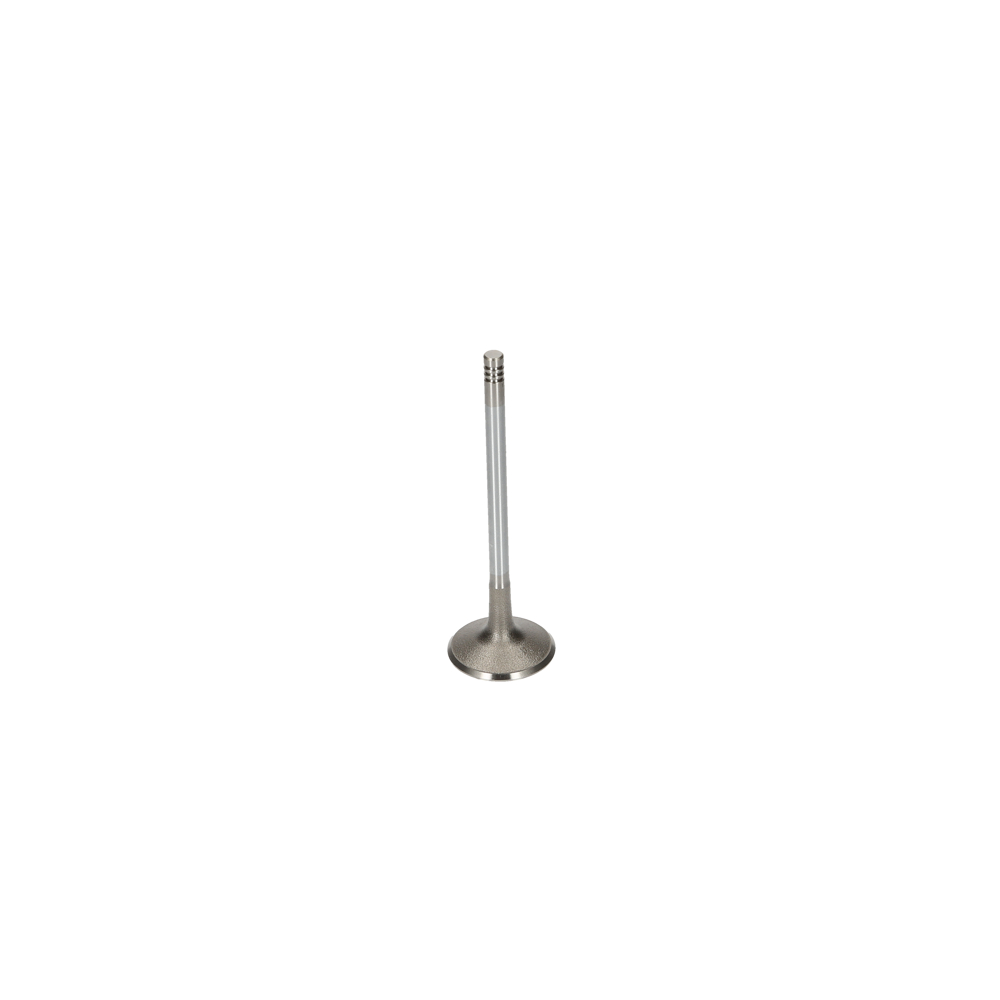 Inlaatklep Von Febi Bilstein 1620 1484 febi bilstein kopen in de aanbieding Inlaatklep Von Febi Bilstein 1620 1484 febi bilstein kopen in de aanbieding