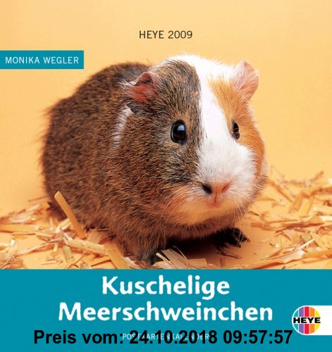 Gebr. - Meerschweinchen Postkartenkalender 2009