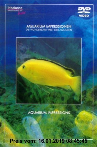 Gebr. - Aquarium Impressionen