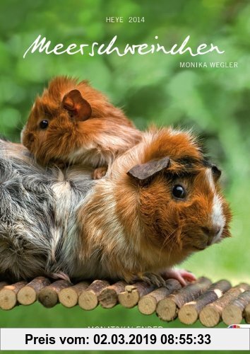 Gebr. - Meerschweinchen Monatskalender 2014 A4