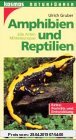 Amphibien und Reptilien. Alle Arten Mitteleuropas