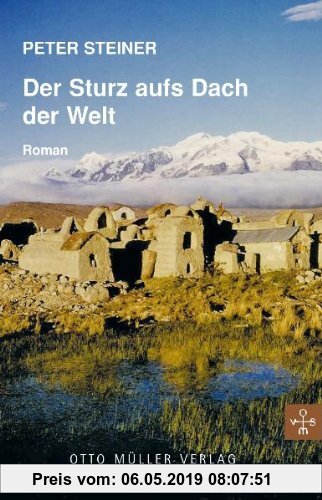Gebr. - Der Sturz aufs Dach der Welt: Roman