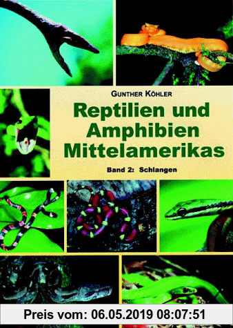 Reptilien und Amphibien Mittelamerikas / Reptilien und Amphibien Mittelamerikas