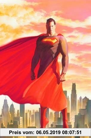 Gebr. - Superman & Batman Hs 8
