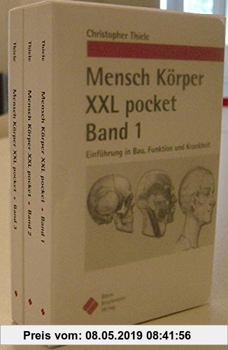 Gebr. - Mensch Körper XXL pocket (3er Band im Schuber): Einführung in Bau, Funktion und Krankheit