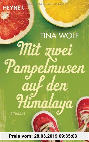 Gebr. - Mit zwei Pampelmusen auf den Himalaya: Roman