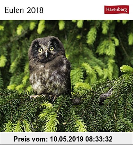 Gebr. - Eulen - Kalender 2018: Kalender mit 53 Postkarten