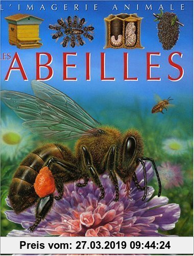 Gebr. - Abeilles - Imagerie Animale