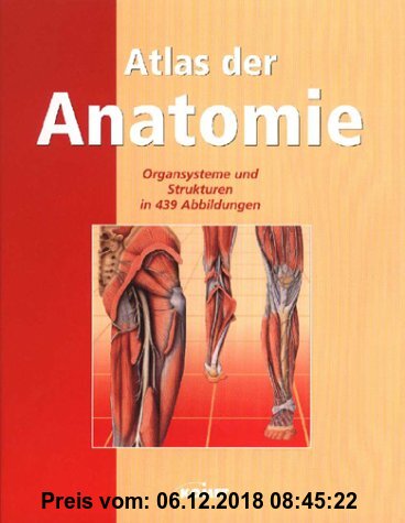 Atlas der Anatomie. Eine anschauliche Verdeutlichung der einzelnen Organsysteme und Körperstrukturen