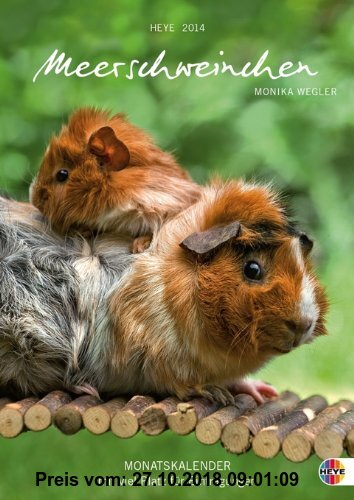 Gebr. - Meerschweinchen Monatskalender 2014 A4
