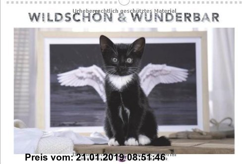 Gebr. - Whiskas Katzenkalender 2012