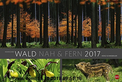 Gebr. - Wald nah und fern Edition - Kalender 2017