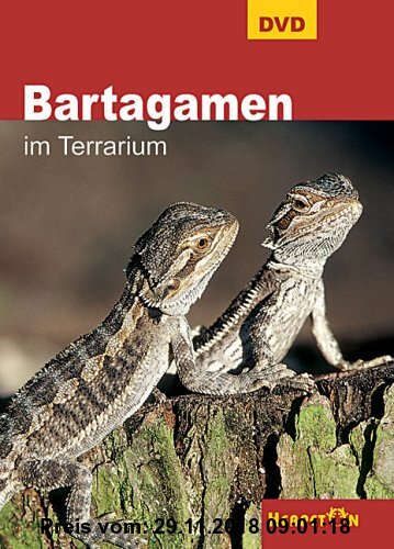 Gebr. - Bartagamen im Terrarium, 1 DVD