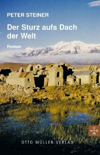 Gebr. - Der Sturz aufs Dach der Welt: Roman