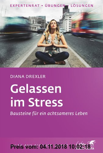 Gebr. - Gelassen im Stress: Bausteine für ein achtsameres Leben