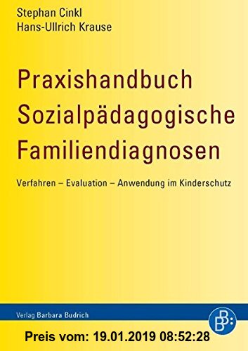Gebr. - Praxishandbuch Sozialpädagogische Familiendiagnosen: Verfahren - Evaluation - Anwendung im Kinderschutz: Verfahren, Evaluation, Praxis und Anw