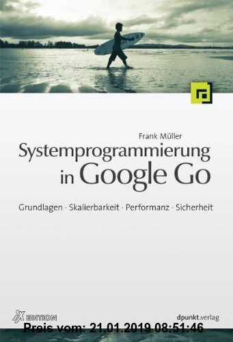 Gebr. - Systemprogrammierung in Google Go: Grundlagen, Skalierbarkeit, Performanz, Sicherheit
