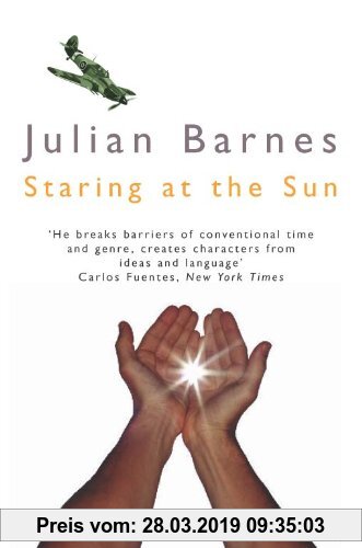 Staring At the Sun (Picador Books)