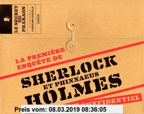 Gebr. - Première enquête de Sherlock et Phinnaeus Holmes : Confidentiel