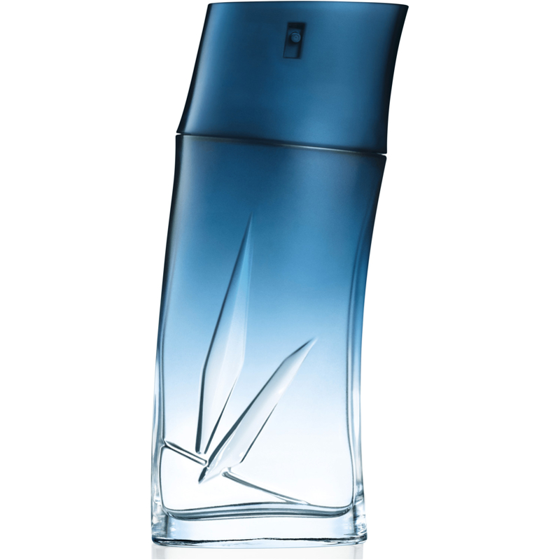 Kenzo Homme Eau de Parfum (100 ml)