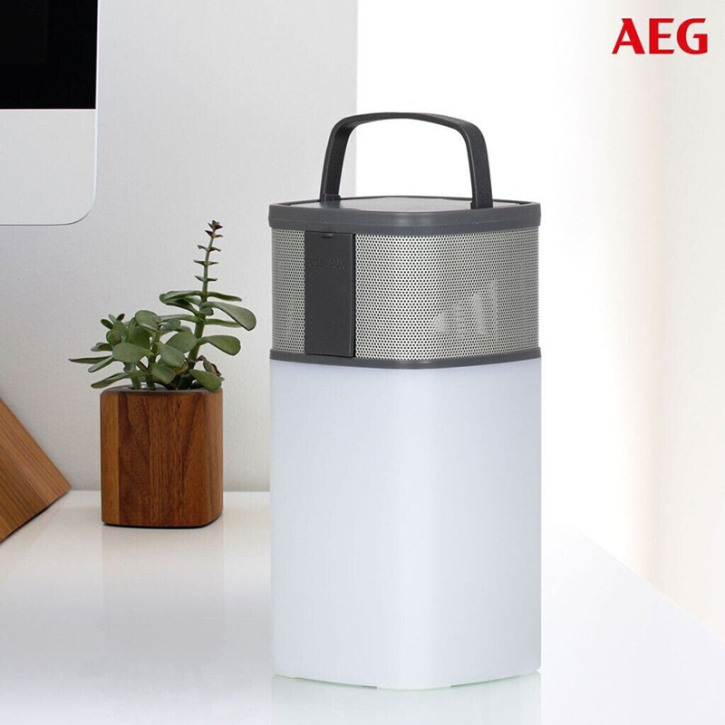 AEG BSS 4841