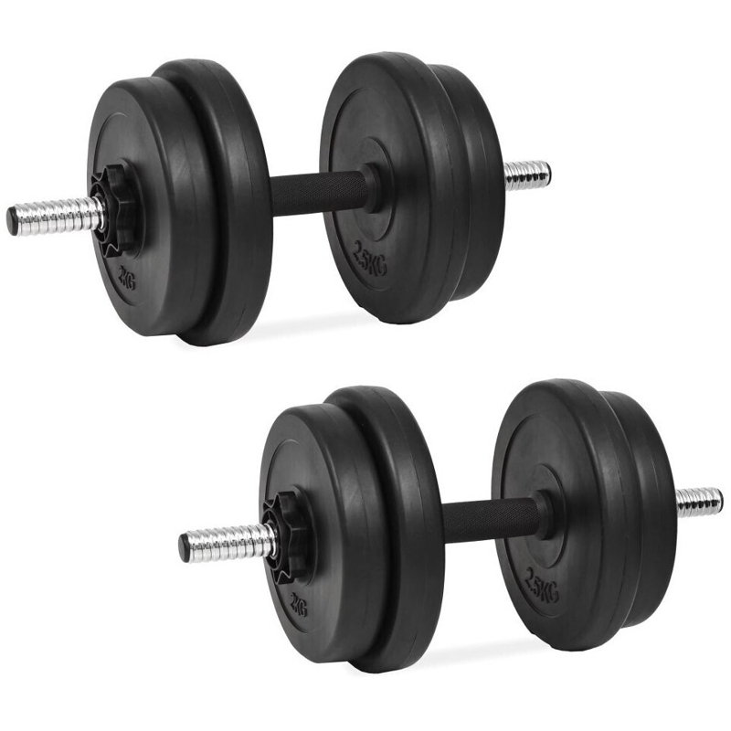 vidaXL Set de 2 haltères avec poids