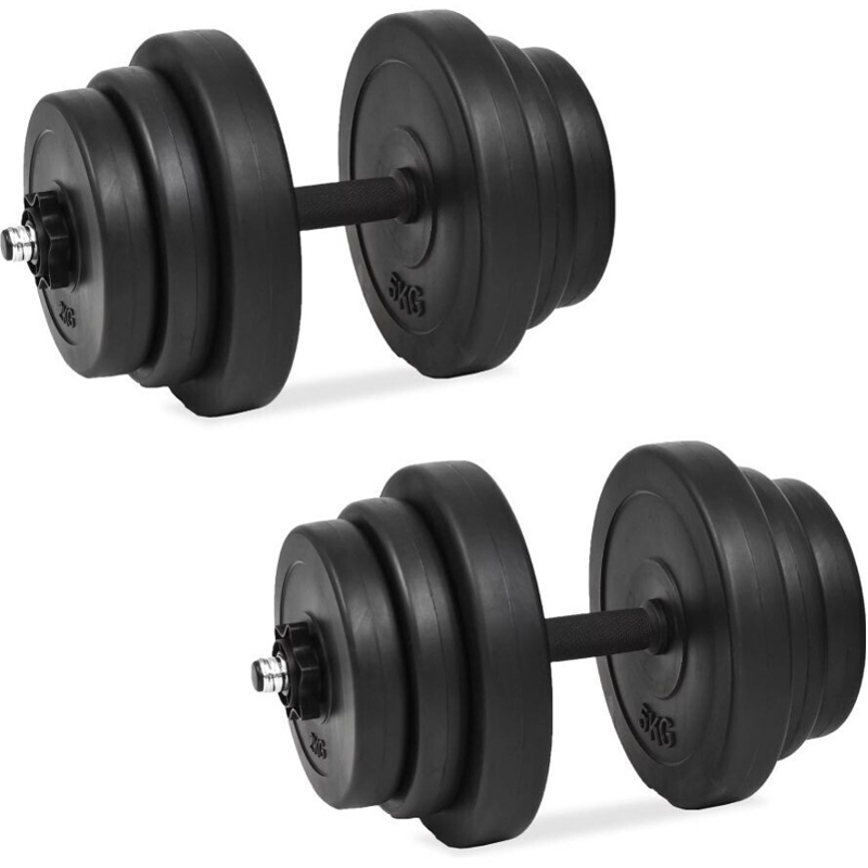 vidaXL Kit de 2 haltères noir avec poids