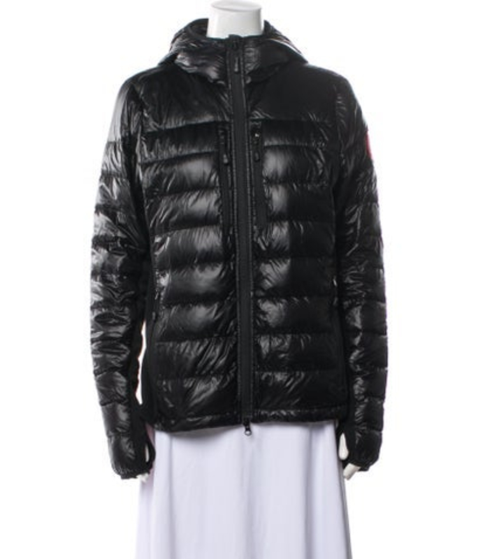 Canada Goose Black Canada Goose