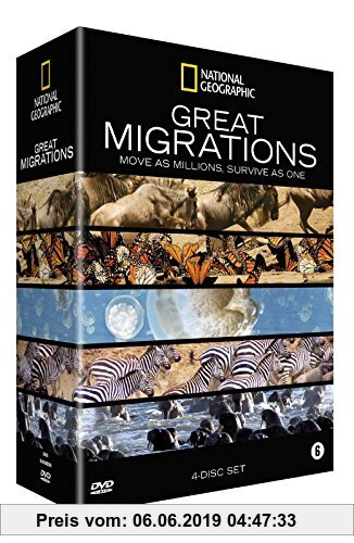 Gebr. - Great Migrations: move as millions, survive as one