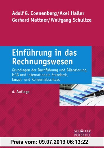 Einführung in das Rechnungswesen: Grundlagen der Buchführung und Bilanzierung, HGB und internationale Standards, Einzel- und Konzernabschluss