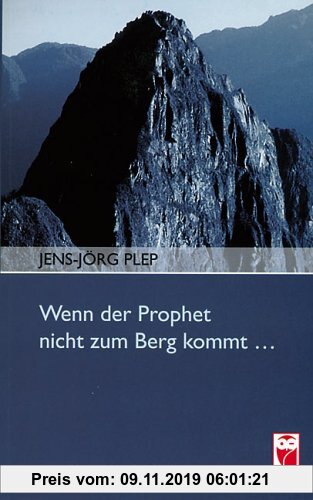 Gebr. - Wenn der Prophet nicht zum Berg kommt...: Autobiographischer Roman
