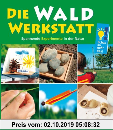 Gebr. - Die Wald-Werkstatt: Spannende Experimente in der Natur