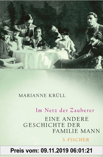 Gebr. - Im Netz der Zauberer: Eine andere Geschichte der Familie Mann