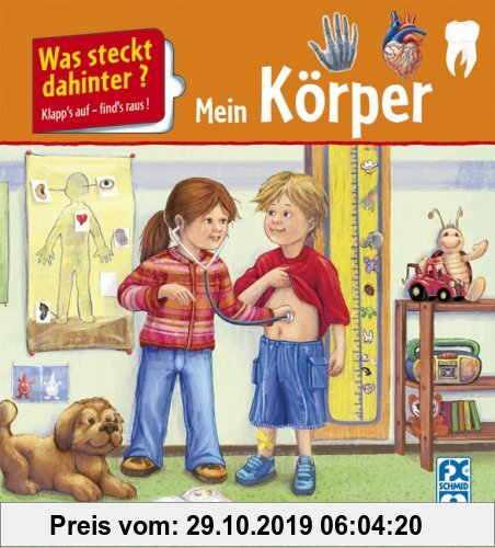 Gebr. - Was steckt dahinter? Mein Körper: Klapp's auf - find's raus!