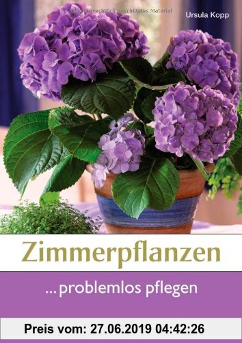 Gebr. - Zimmerpflanzen problemlos pflegen