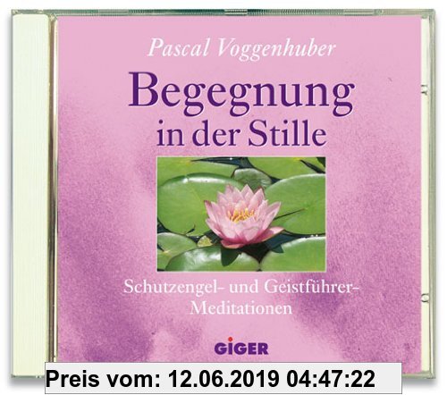 Gebr. - Begegnung in der Stille: Schutzengel- und Geistführer Meditationen