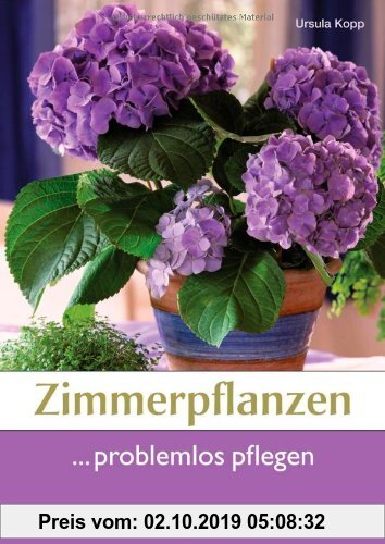 Gebr. - Zimmerpflanzen problemlos pflegen