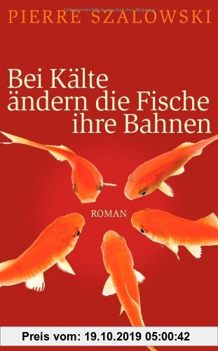 Gebr. - Bei Kälte ändern die Fische ihre Bahnen: Roman