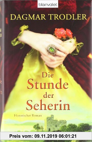 Gebr. - Die Stunde der Seherin: Historischer Roman