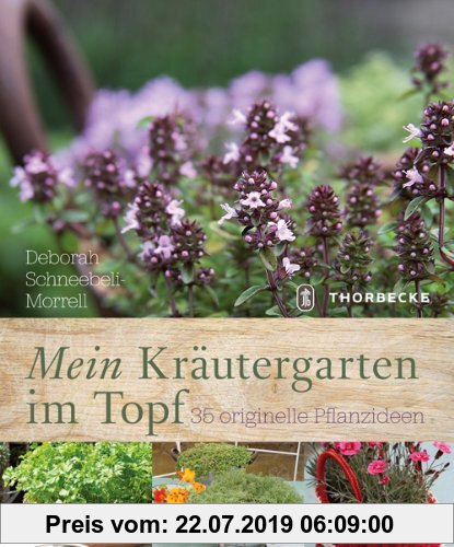 Gebr. - Mein Kräutergarten im Topf: 35 originelle Pflanzideen