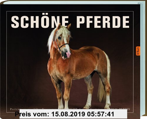 Gebr. - Schöne Pferde