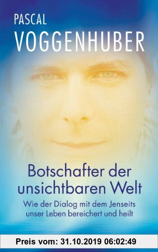 Gebr. - Botschafter der unsichtbaren Welt: Wie der Dialog mit dem Jenseits unser Leben bereichert und heilt