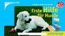 Gebr. - Erste Hilfe für Hunde: für unterwegs