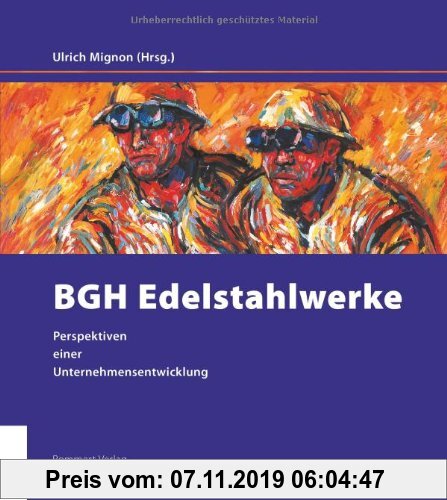 Gebr. - BGH Edelstahlwerke - Perspektiven einer Unternehmensentwicklung