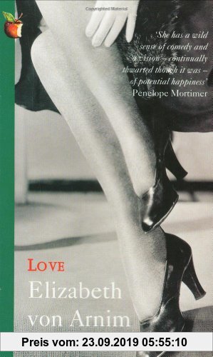 Love: A Virago Modern Classic (Virago Modern Classics)